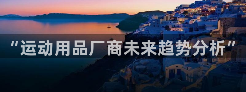 NG大舞台官网下载注册:“运动用品厂商未来趋势分析”